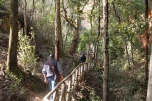 Parco-naturale-di-Montioni-