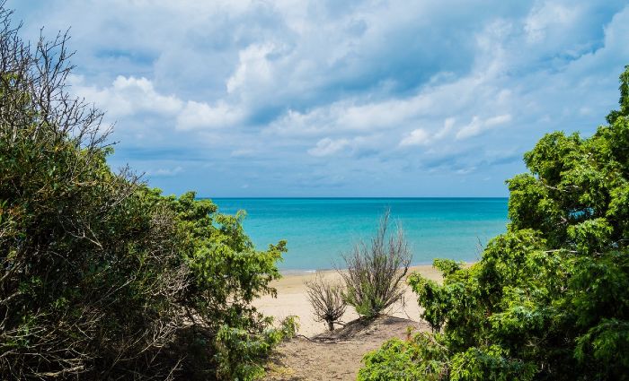 Spiaggia-Parco-di-Rimigliano-San-Vincenzo